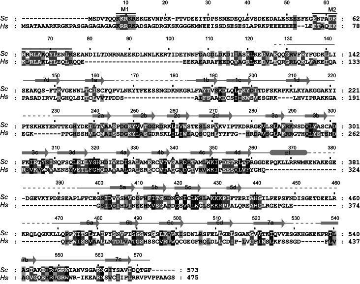 FIGURE 1.