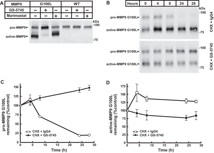 Figure 5.