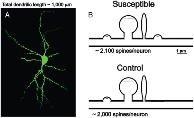 Figure 7.