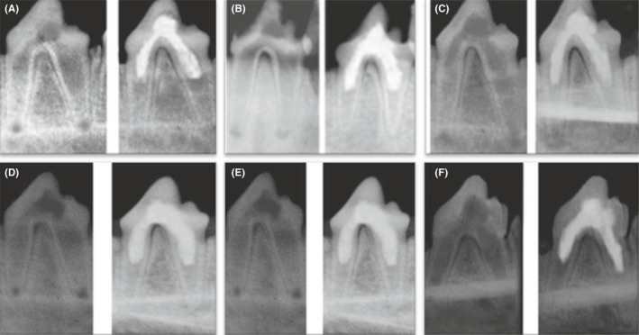 FIGURE 2