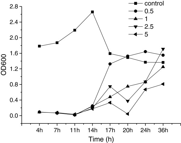 Figure 5