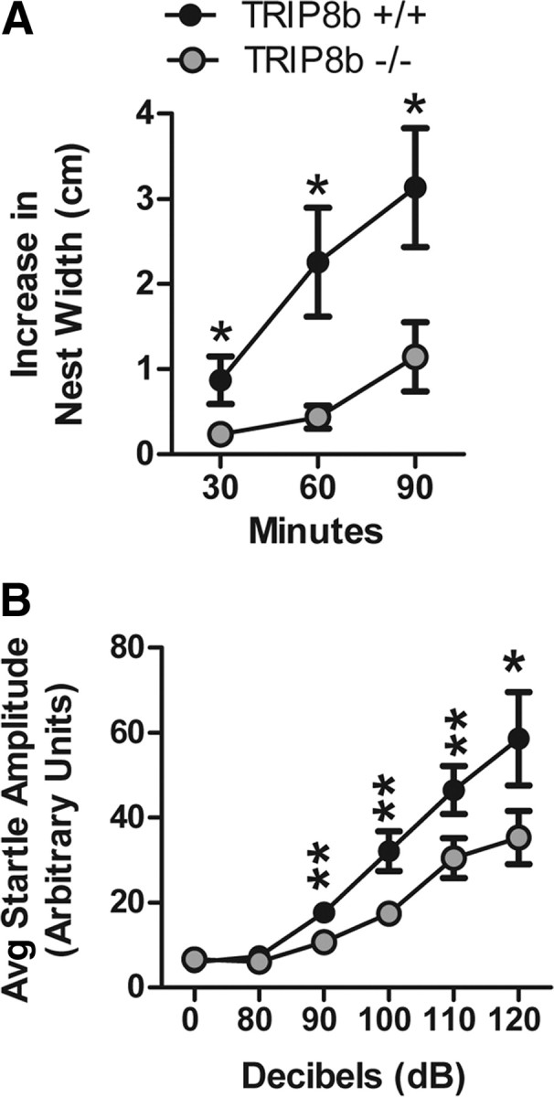 Figure 11.