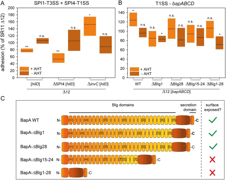 FIG 3