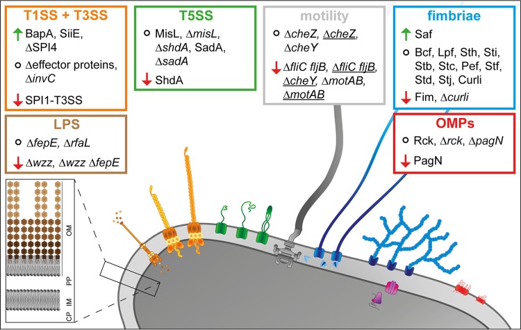 FIG 6