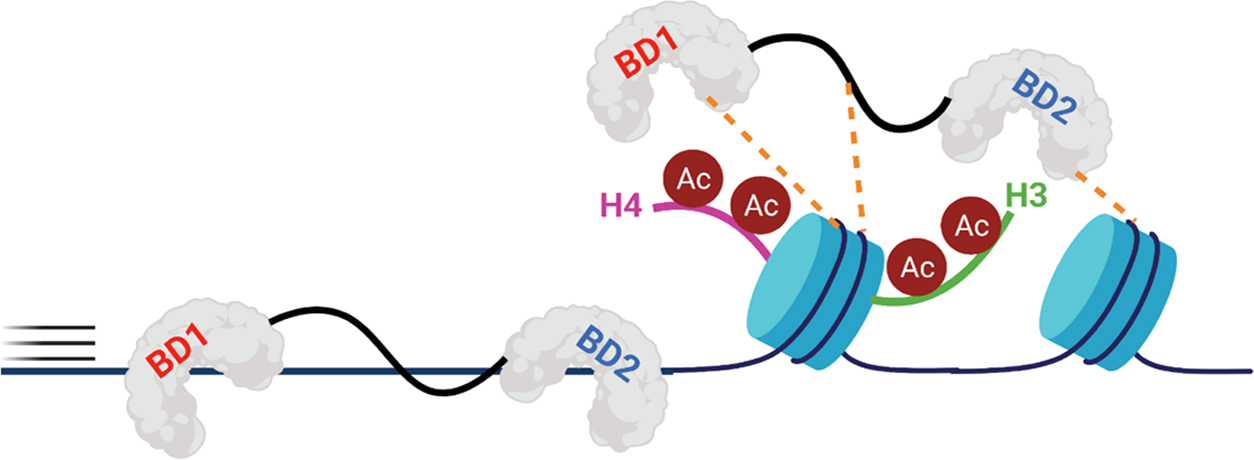 Figure 7.