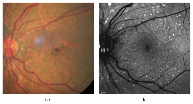 Figure 6