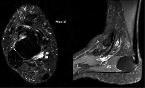 Fig. 8