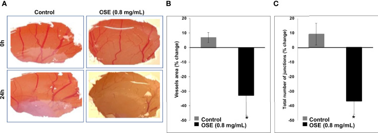 Figure 7