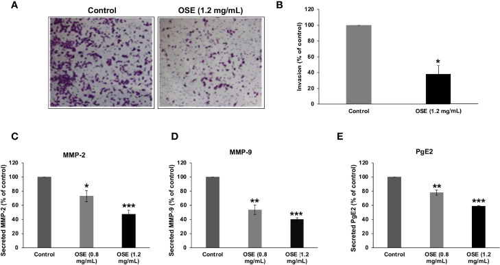 Figure 6