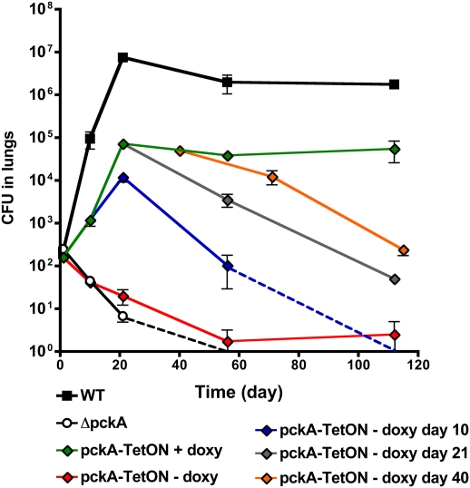 Fig. 4.