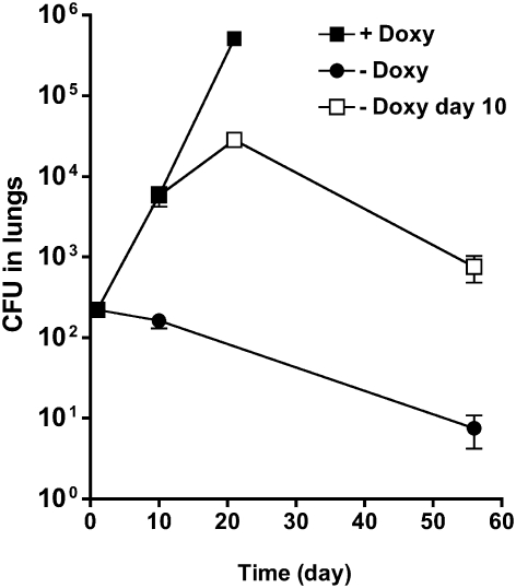 Fig. 5.