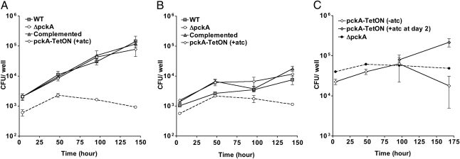 Fig. 3.