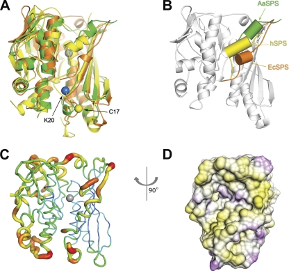 Fig 3