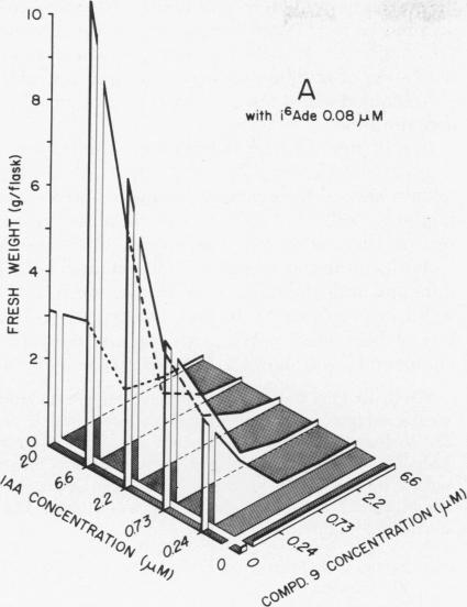 graphic file with name pnas00052-0253-b.jpg