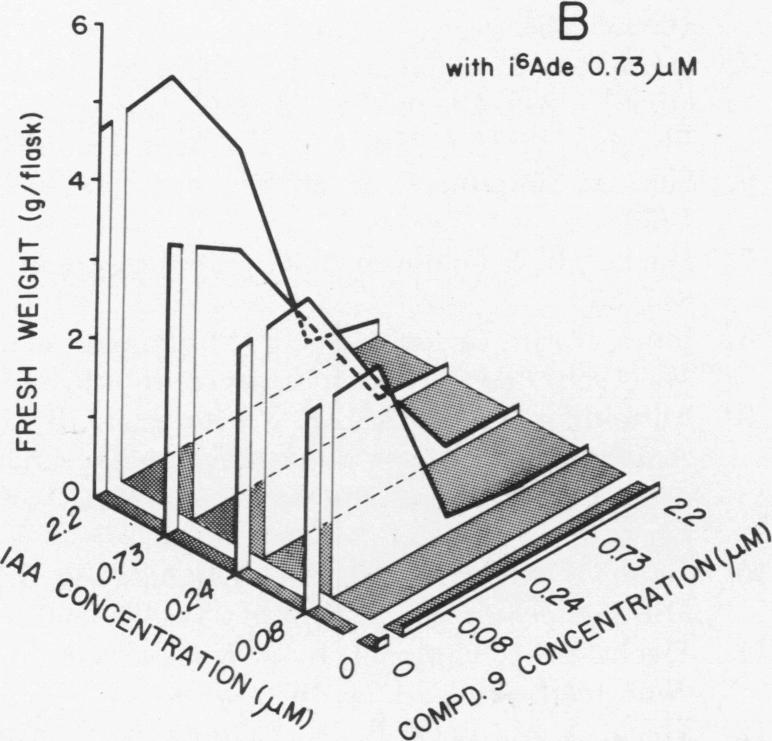 graphic file with name pnas00052-0253-d.jpg