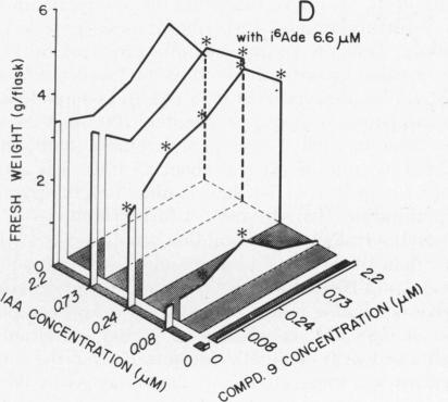 graphic file with name pnas00052-0253-c.jpg