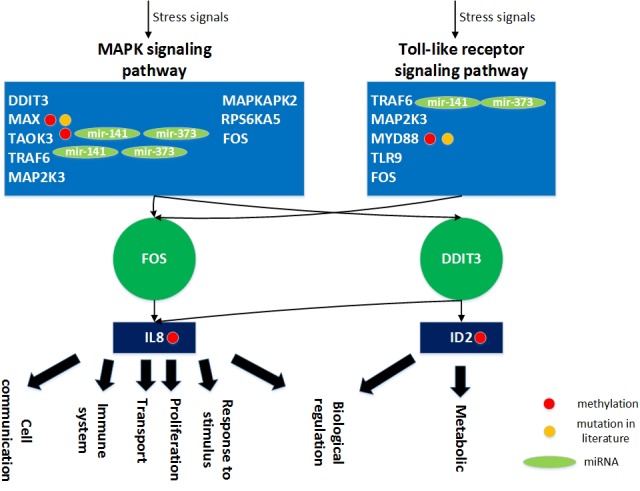 Figure 14