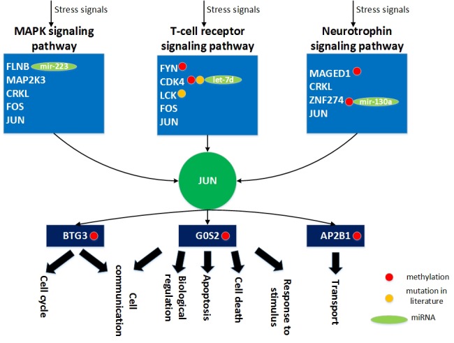 Figure 10