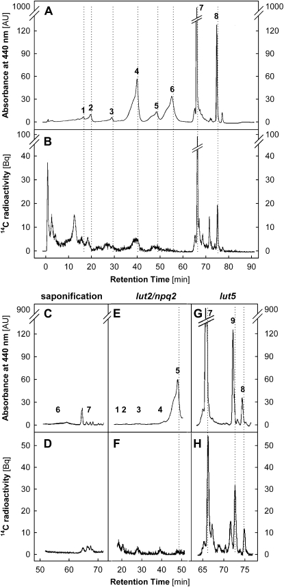 Figure 7.