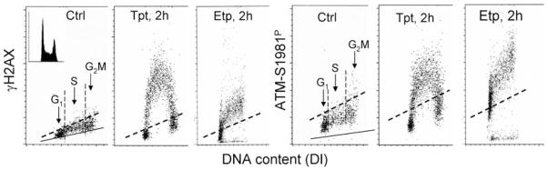 Fig. 12.1