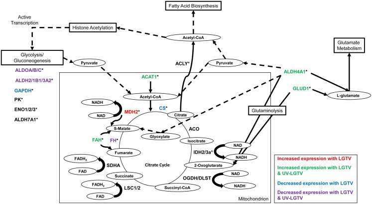 Fig 6