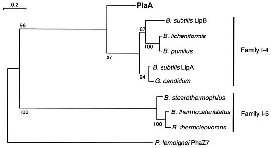 FIG. 5.