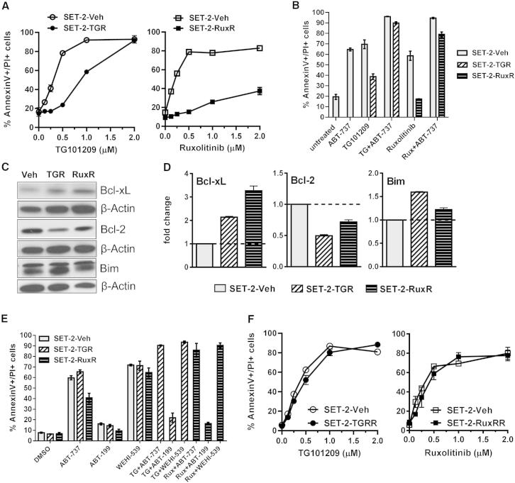 Figure 7