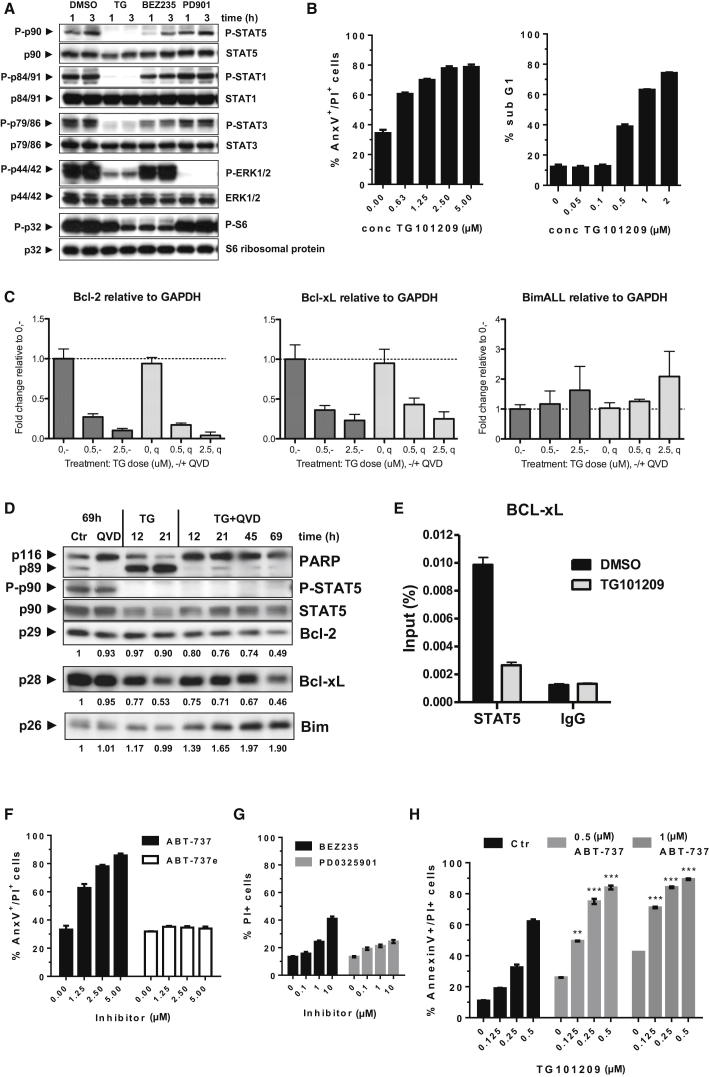 Figure 6