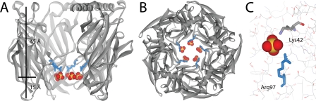 FIGURE 1.