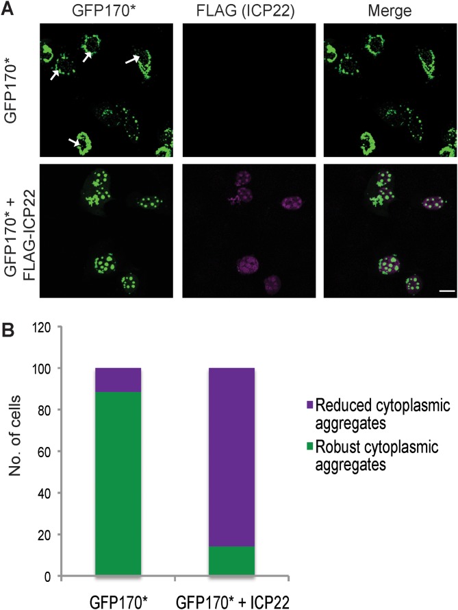 FIG 4