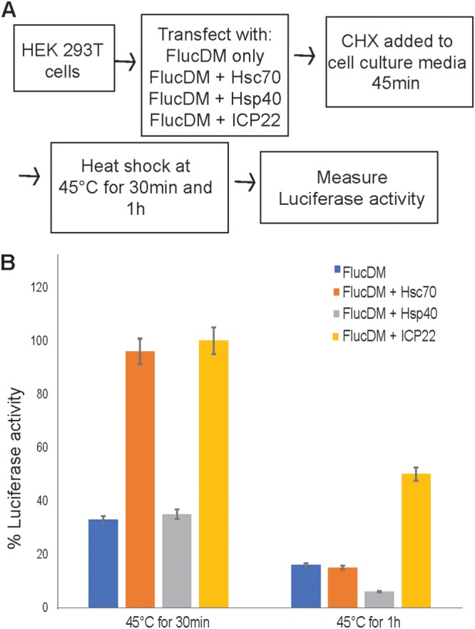 FIG 5