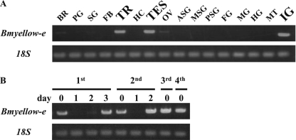 FIGURE 5.