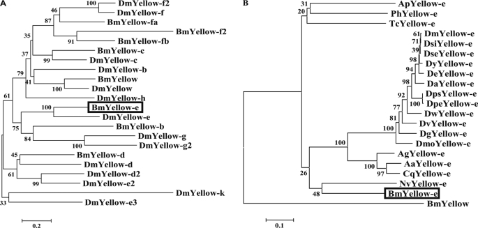 FIGURE 4.