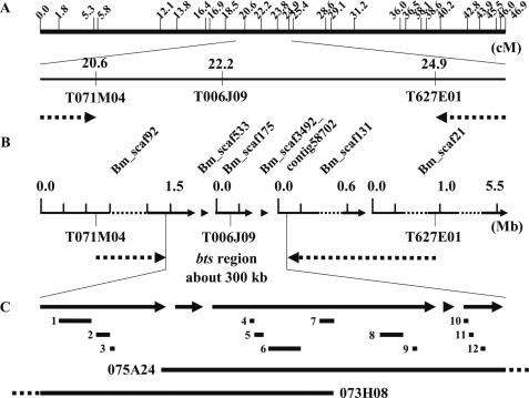 FIGURE 2.