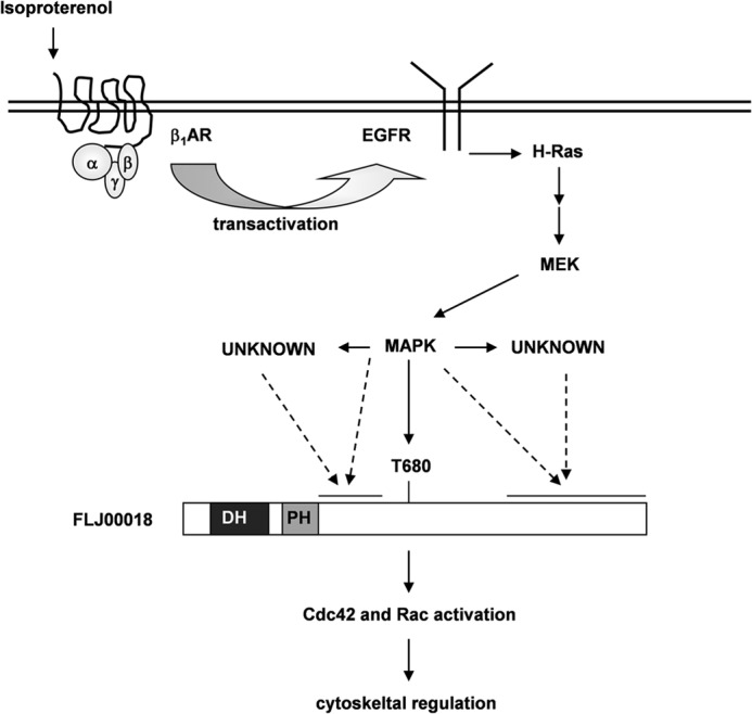 FIGURE 9.