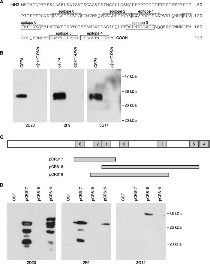 FIG 2