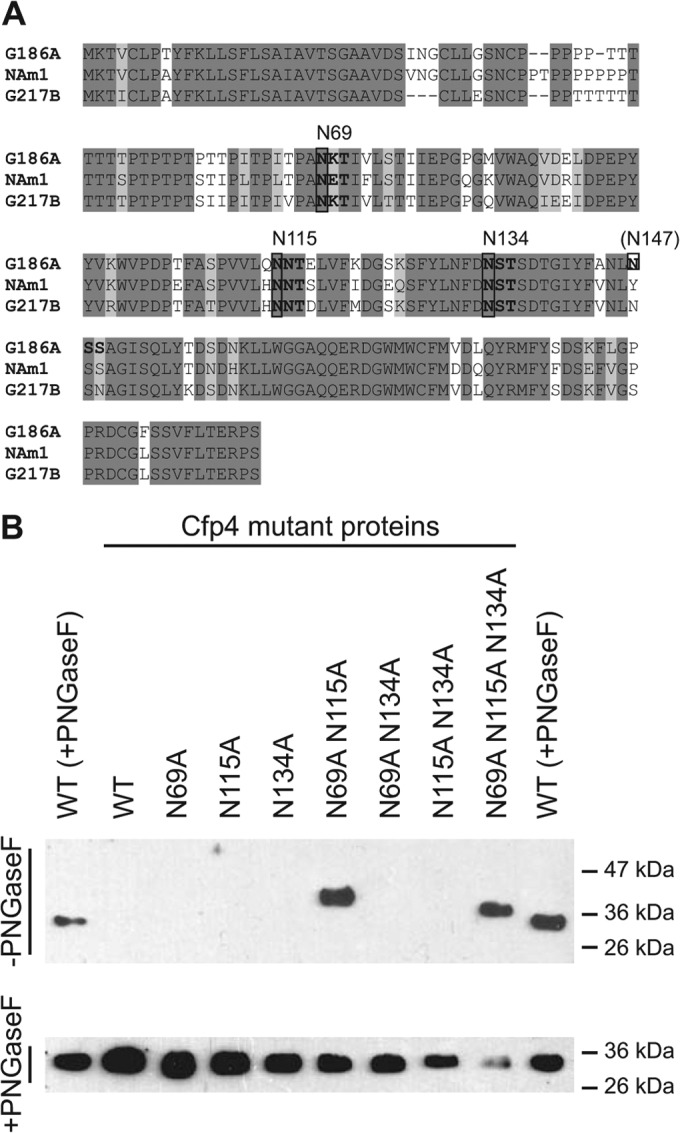 FIG 3