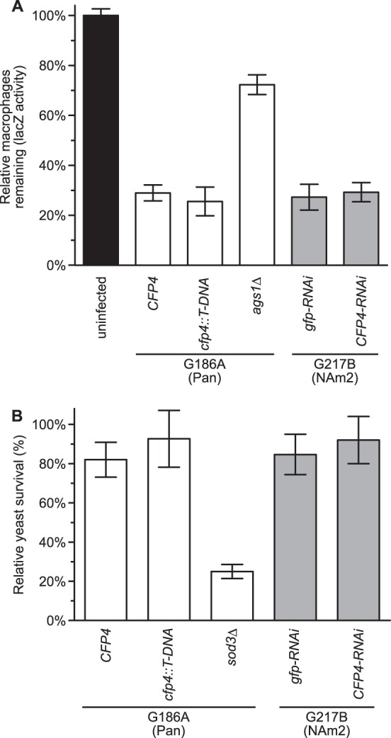 FIG 6