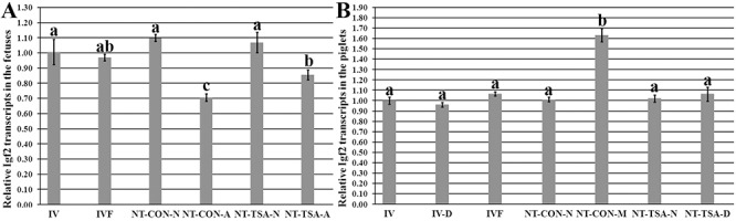 Fig 5