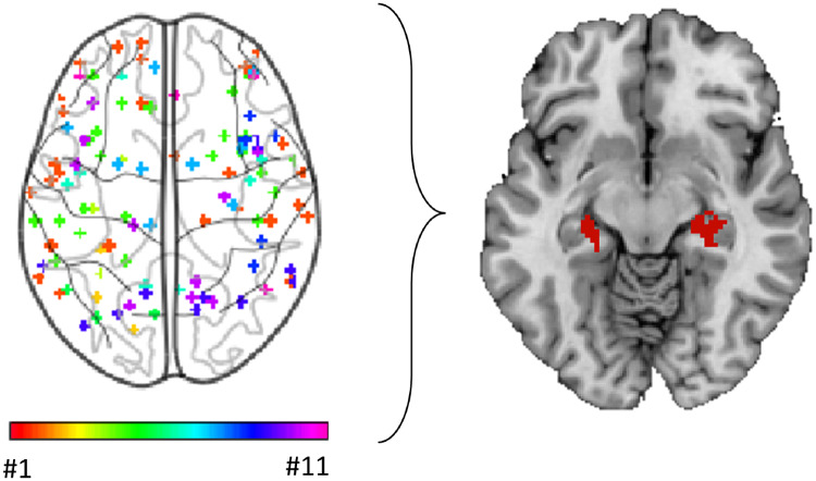 Graphical Abstract