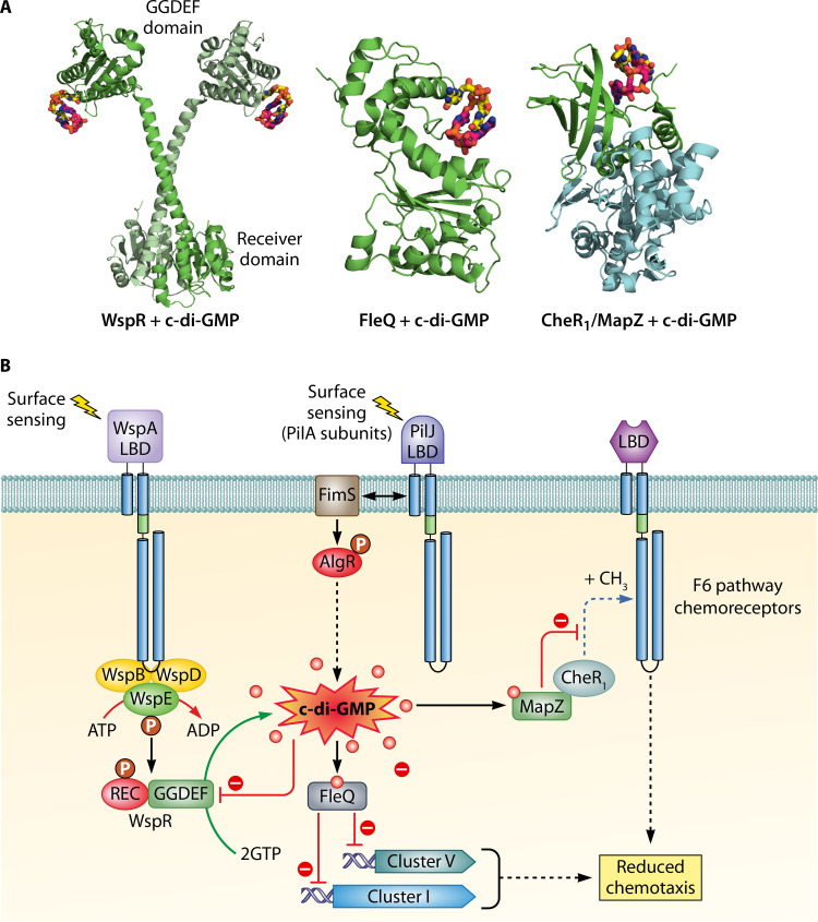 FIG 6