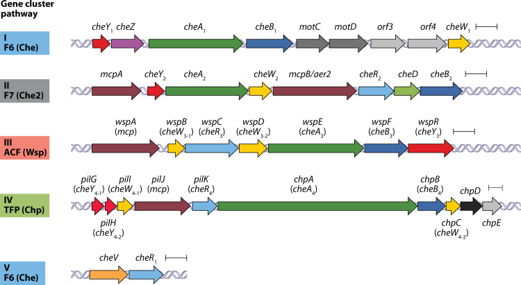 FIG 1