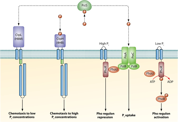 FIG 5