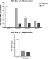 FIG 1