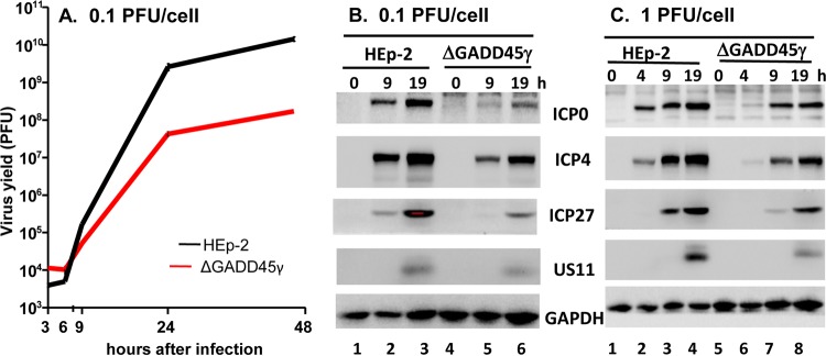 FIG 4