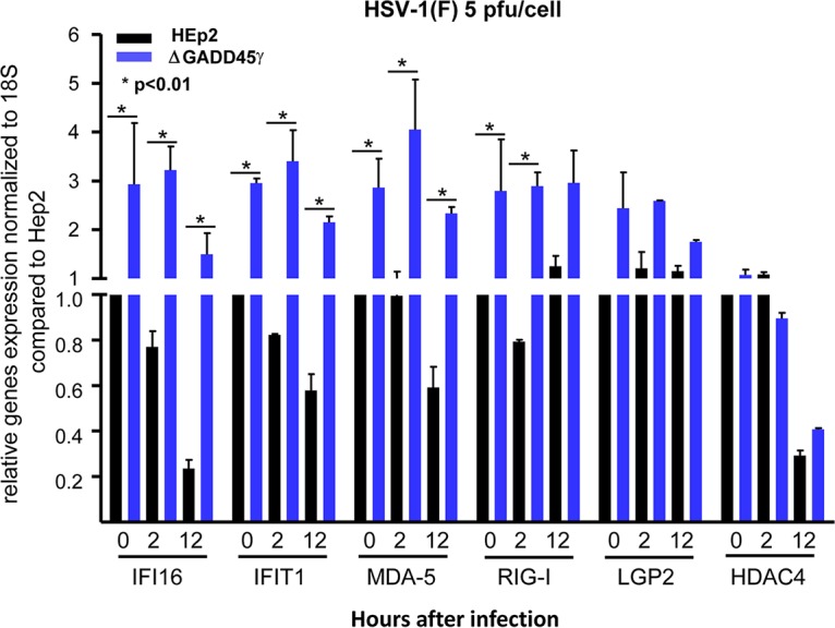 FIG 6