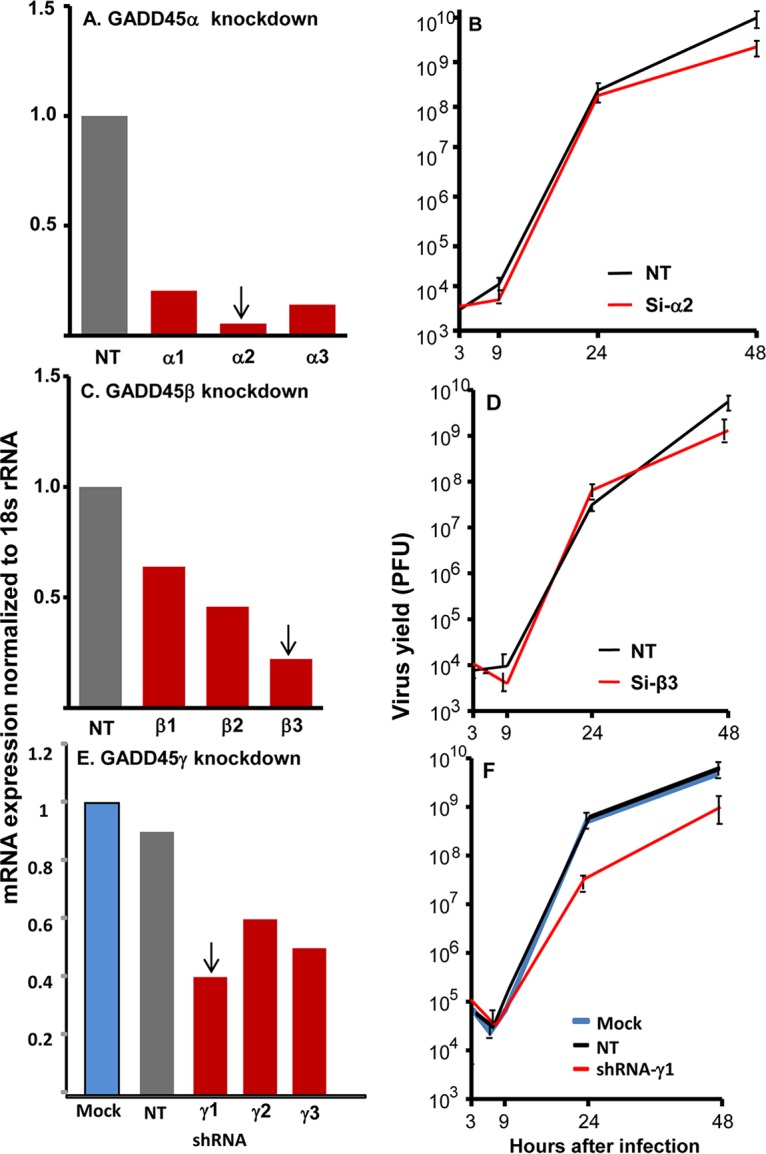 FIG 2