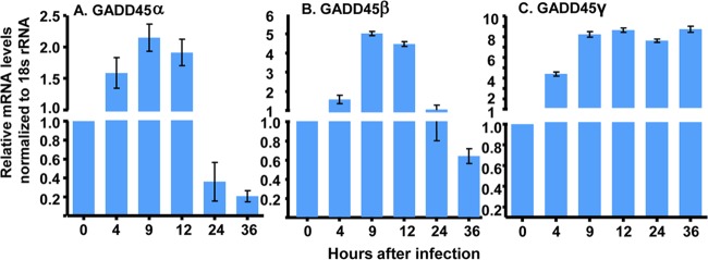 FIG 1