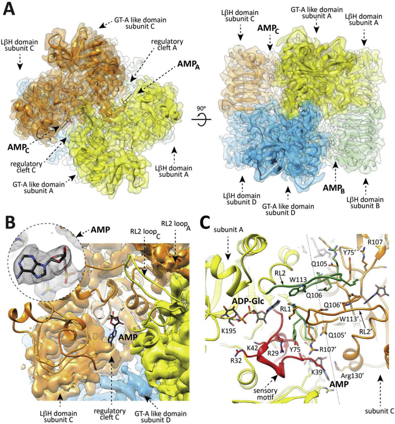 Fig. 3