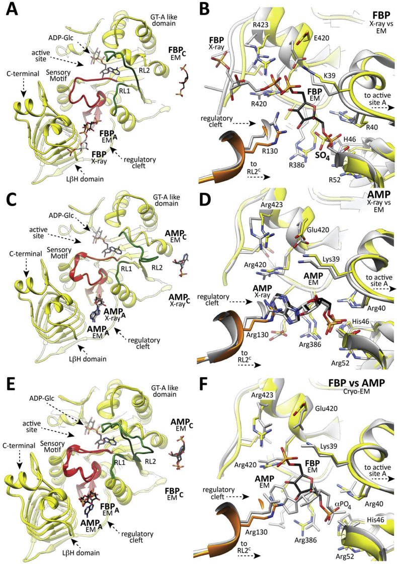 Fig. 4